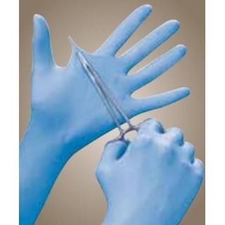 High Five Performance N803-10 - GLOVE, EXAM, PF NITRILE, WHITE, LARGE, 1000 EA/CS