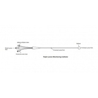 Edwards Lifesciences T123F6 - CATHETER, MONITORING, HI TORQUE, EACH